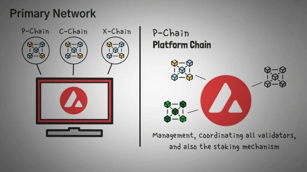AVAX p-Chain for platform subnets