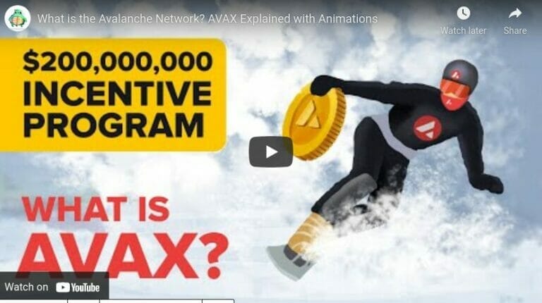 what is avax information video